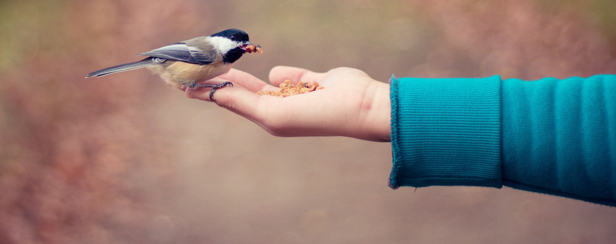 B2B lead nurturing for dummies