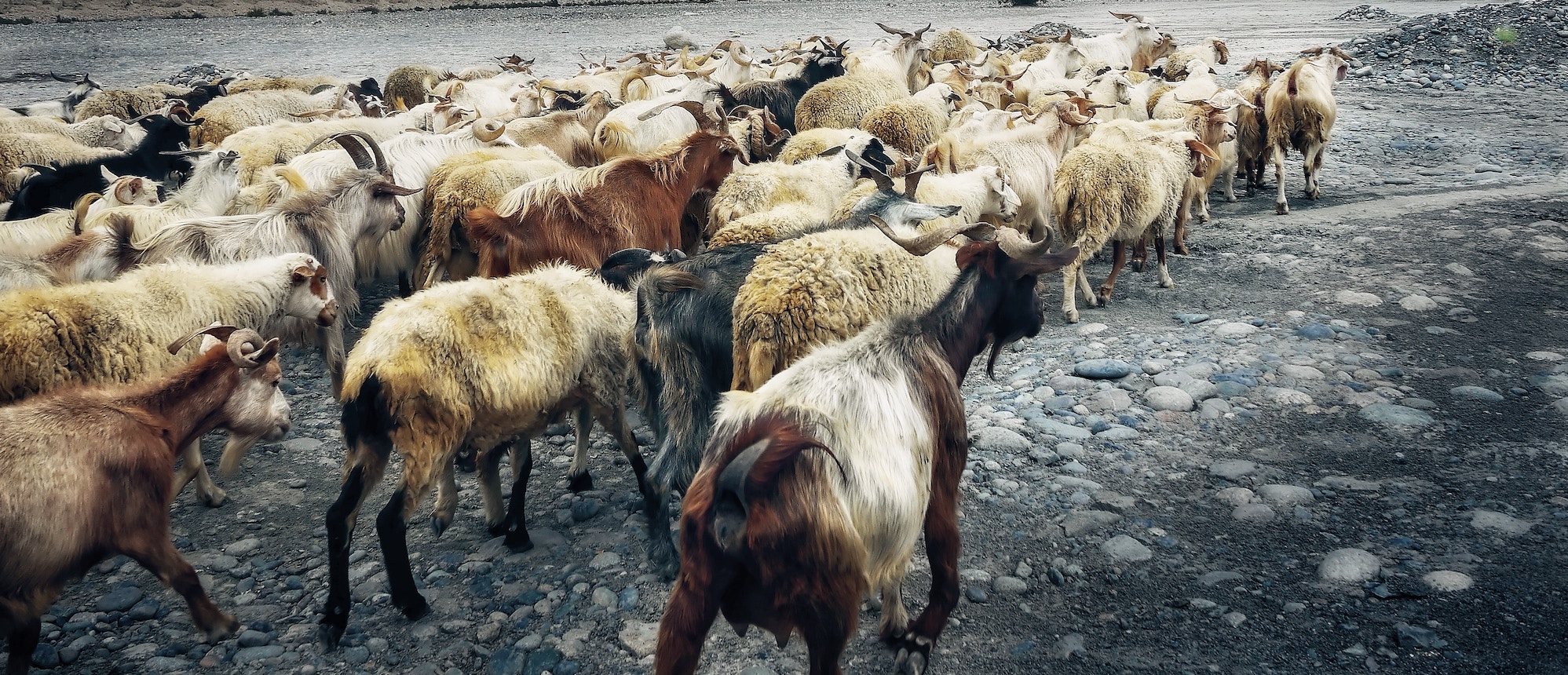 5 step guide to convert social media followers into qualified leads