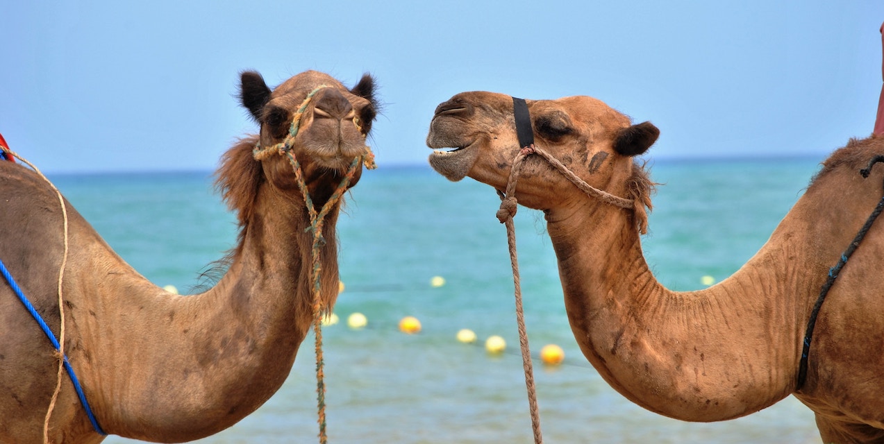 Social media is about creating dialogues NOT monologues