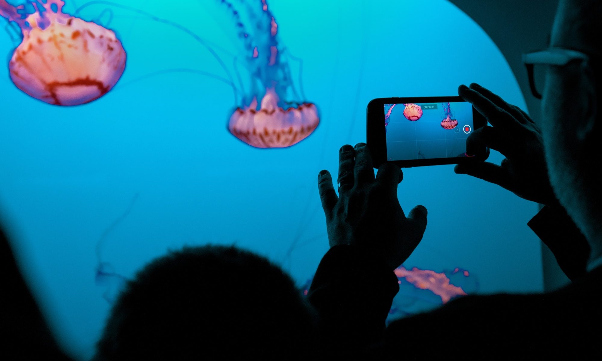 How to optimize videos across every social network