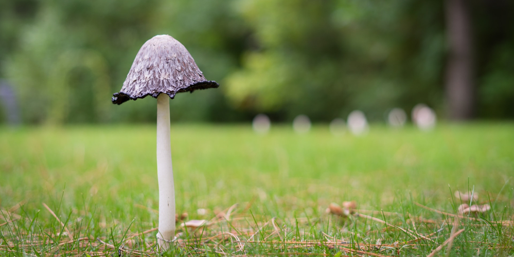 The day my LinkedIn post went viral because of employee advocacy